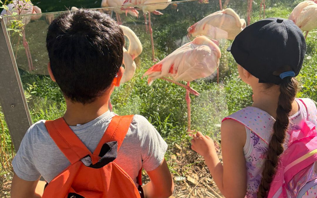 Ausflug in den Tierpark